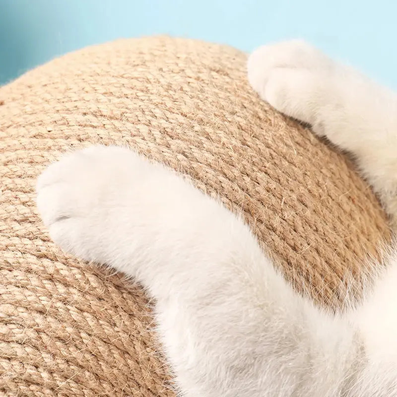 Jeux pour Chat Résistant à l'usure Fournitures de meubles pour animaux de compagnie à Prix Discount - Soldes-ShopOnline