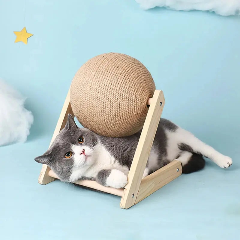 Jeux pour Chat Résistant à l'usure Fournitures de meubles pour animaux de compagnie à Prix Discount - Soldes-ShopOnline