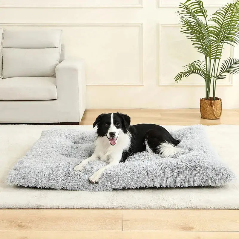Lits pour Chiens doux Maison Doux Long Peluche Meilleur lit pour chien pour chiens Panier Produits pour animaux de compagnie Coussin Lit pour chat Tapis pour chat Animaux Canapé-lit - Soldes-ShopOnline