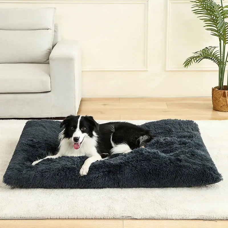 Lits pour Chiens doux Maison Doux Long Peluche Meilleur lit pour Chien Panier pour chiens Produits pour animaux de compagnie Coussin Lit pour chat Tapis pour Chat Animaux Canapé-lit - Soldes-ShopOnline