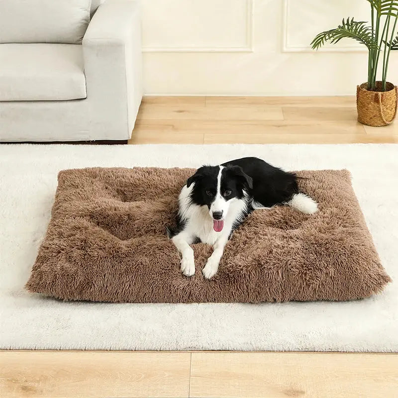 Lits pour Chiens doux Maison Doux Long Peluche Meilleur lit pour Chien Panier pour chiens Produits pour animaux de compagnie Coussin Lit pour chat Tapis pour Chat Animaux Canapé-lit - Soldes-ShopOnline