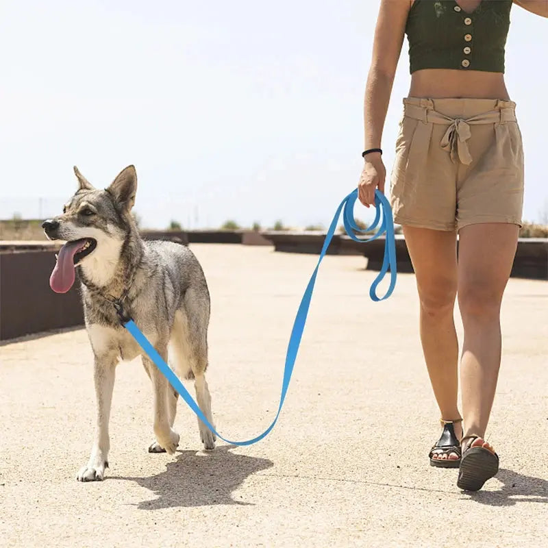 Laisses de dressage de chiens en nylon Marche Laisse pour animaux de compagnie Corde de traction Corde pour petits grands chiens 1,5M 1,8M 3M 4,5M 6M 10M Fournitures pour animaux de compagnie en plein air - Soldes-ShopOnline