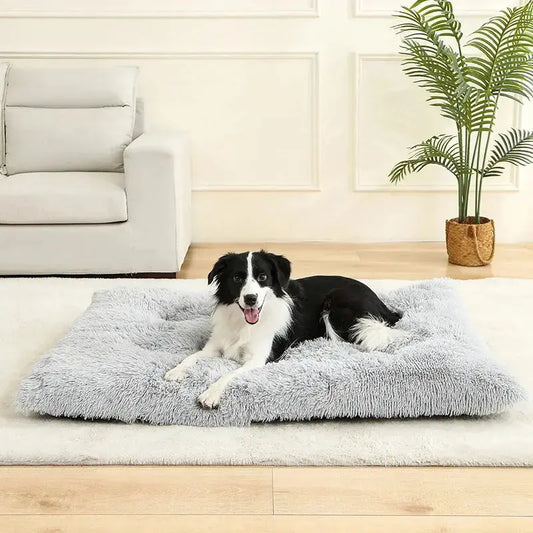 Lits pour Chiens doux Maison Doux Long Peluche Meilleur lit pour chien pour chiens Panier Produits pour animaux de compagnie Coussin Lit pour chat Tapis pour chat Animaux Canapé-lit - Soldes-ShopOnline
