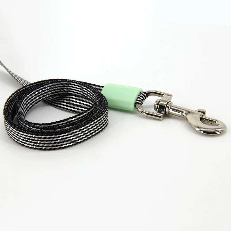 Retractable Dog Leash with Ergonomic Handle, Automatic Extendable Pet Lead, One Button Brake Lock Walking Leash Soldes-ShopOnline