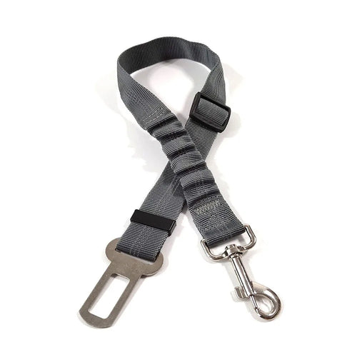 Ceinture de Sécurité Chien Voiture – Réfléchissante, Réglable & Anti-Choc | Nylon Bungee Premium Soldes-ShopOnline